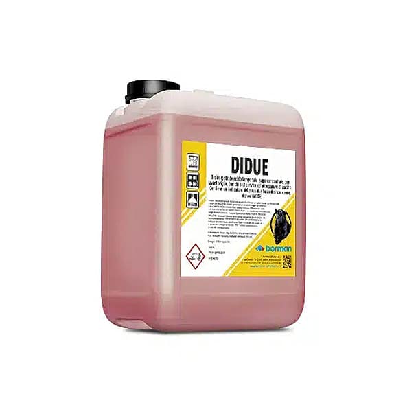Didue